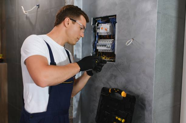 Best Local Electrician Companies  in Arcadia, WI